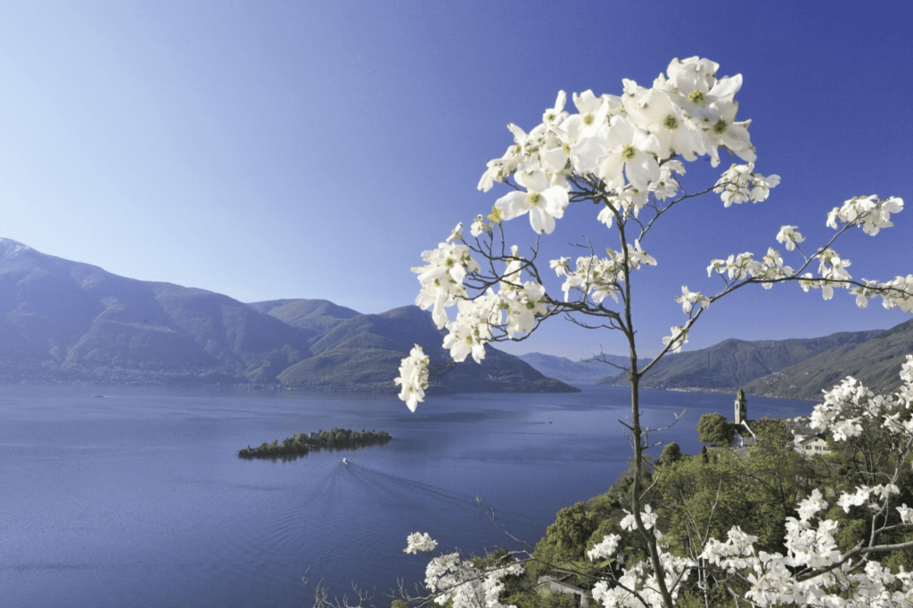 Hier spricht der Concierge 1 Unbenannt 8 5