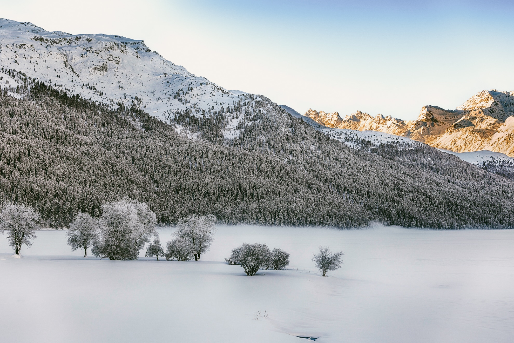 2501 Giardino Moun-20250129-2G1A8161_HDR-SH-Filter