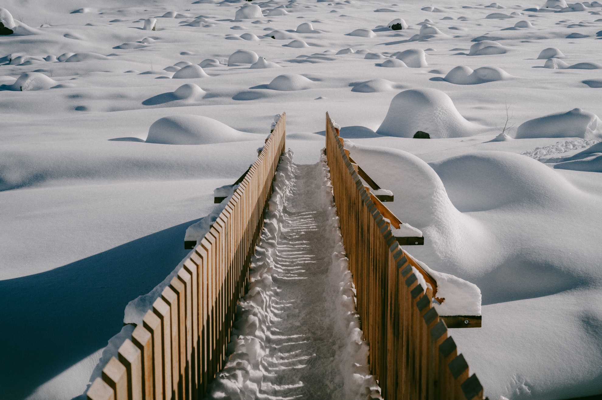 Angebote 13 ©Carolin Unrath