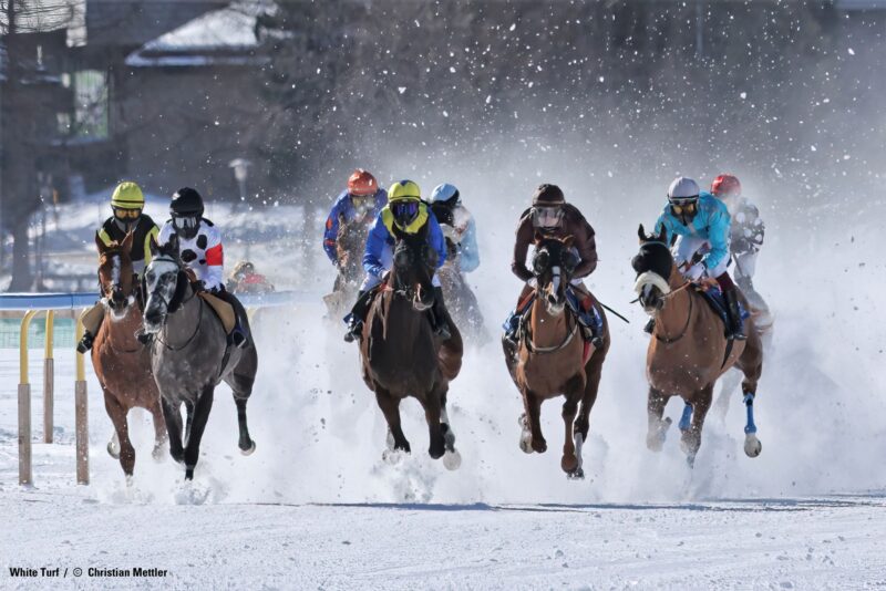 White-Turf-WBE-800x534