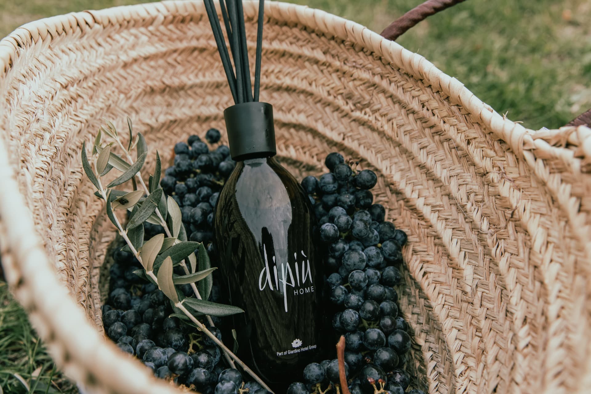 DP_Product_Winery_RGB_Low_MAVA_29b-GD-Filter