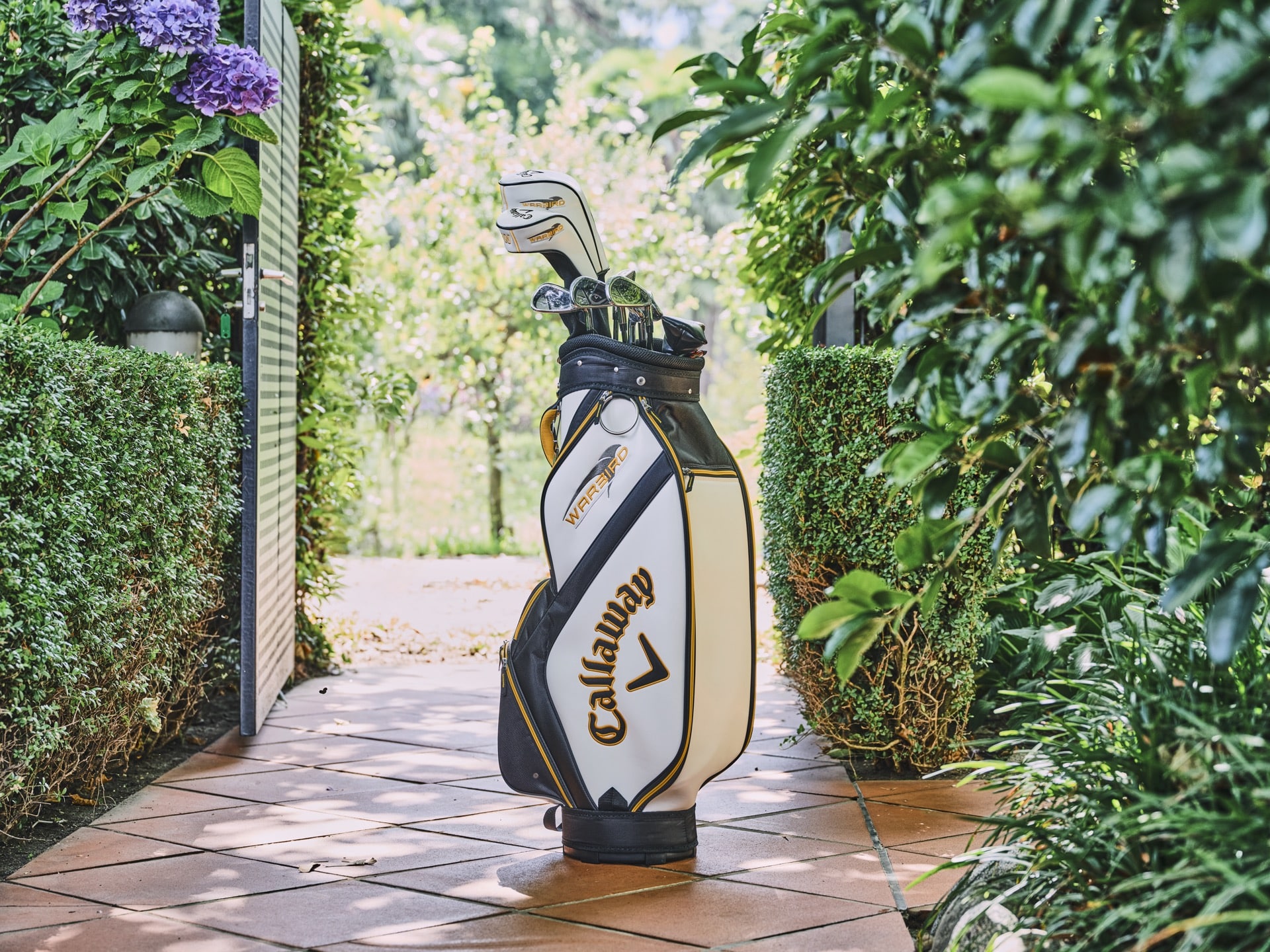 Angebote 12 GA_Golf_RGB_Low_GUPF_02_h