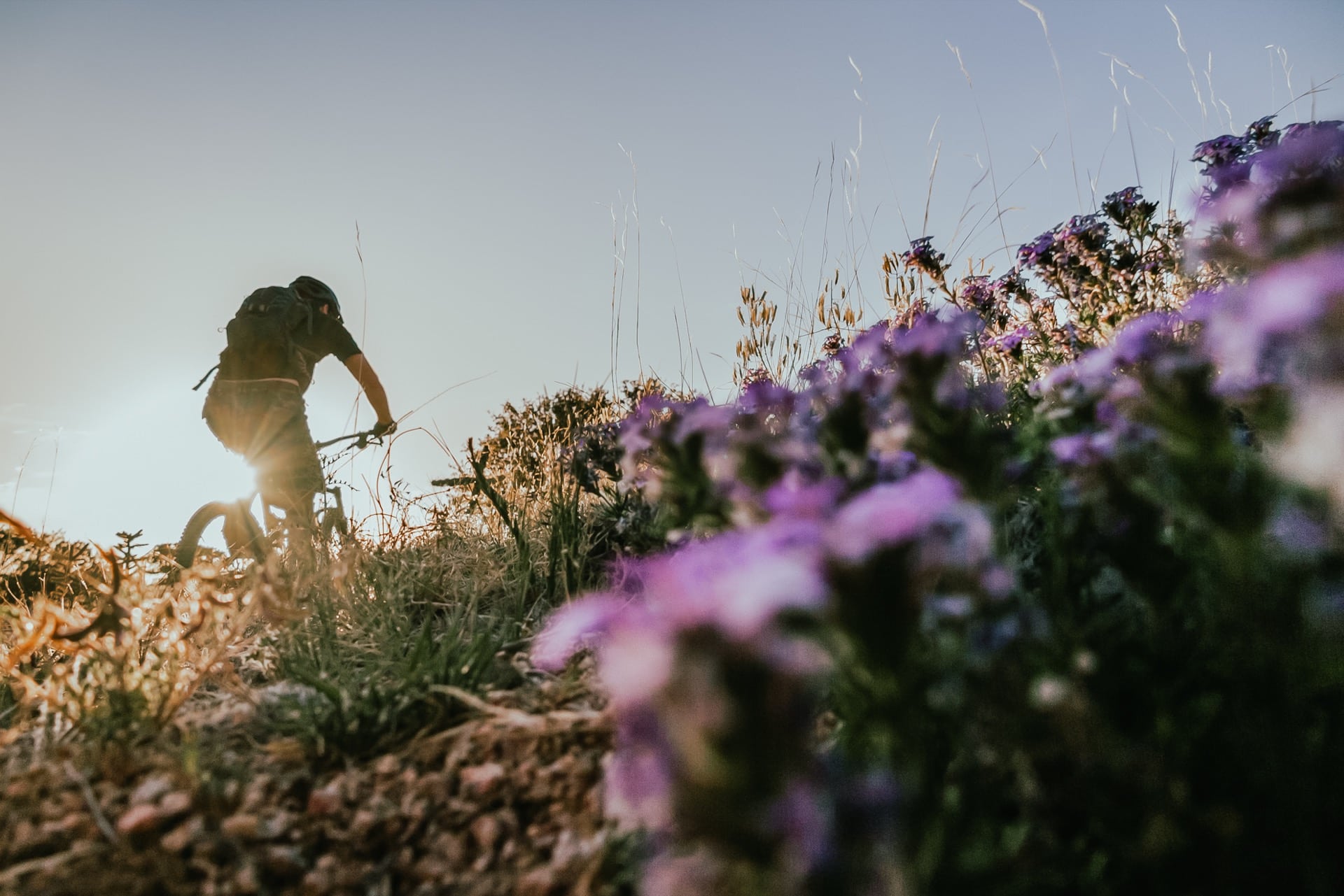 MTB_iStock-508755611_Bis-GD-Filter