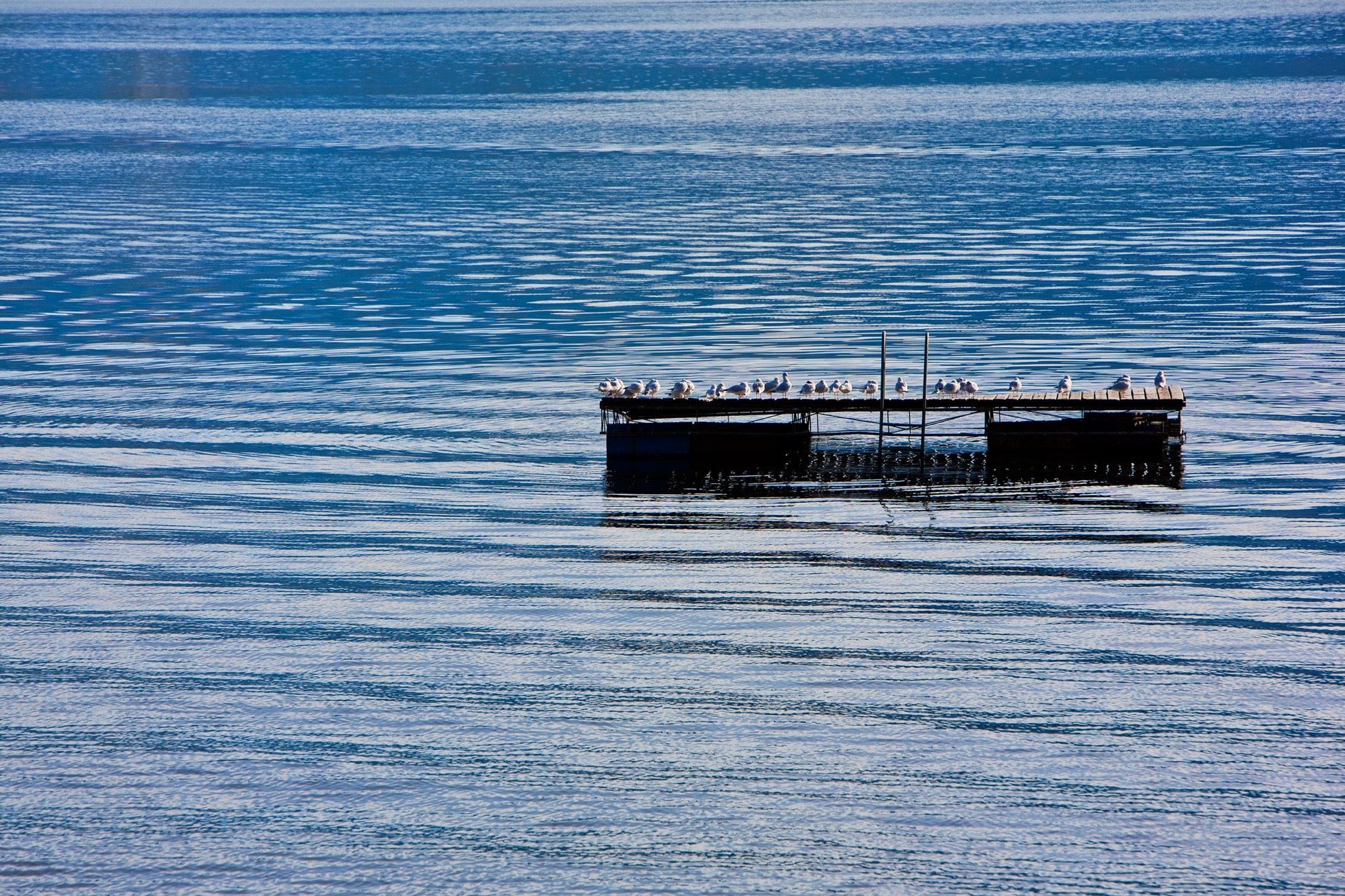 FAQ 6 GL_Lake Winter_RGB_Low_XXX_04