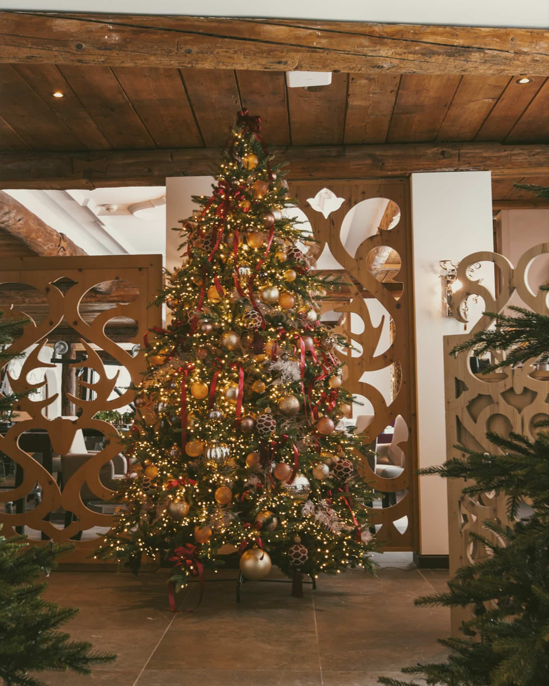 GM_X-Mas Tree_RGB_Low_MAVA_03-SH-Filter