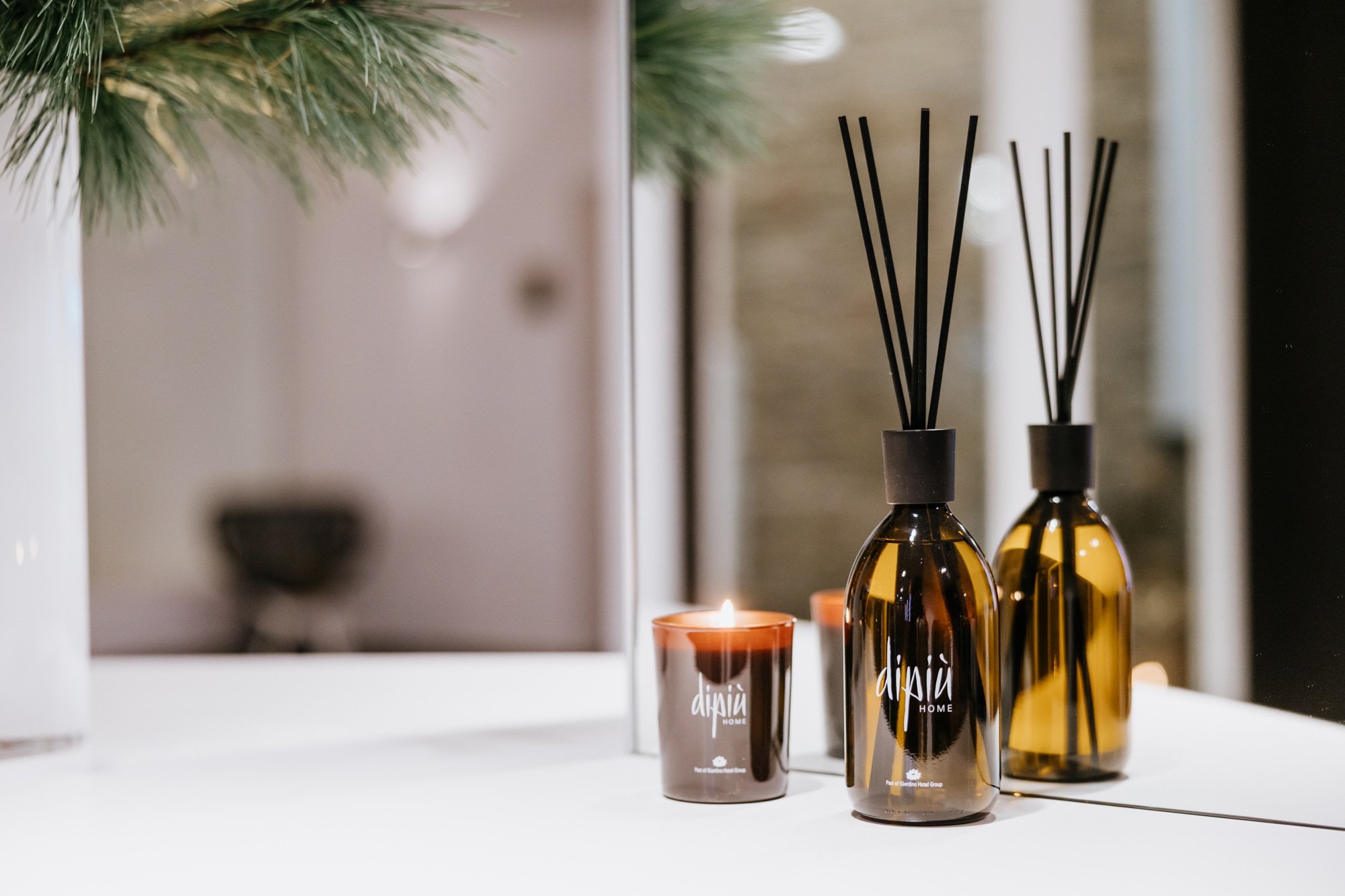 DP_Product_RGB_Low_2026_HBR_02