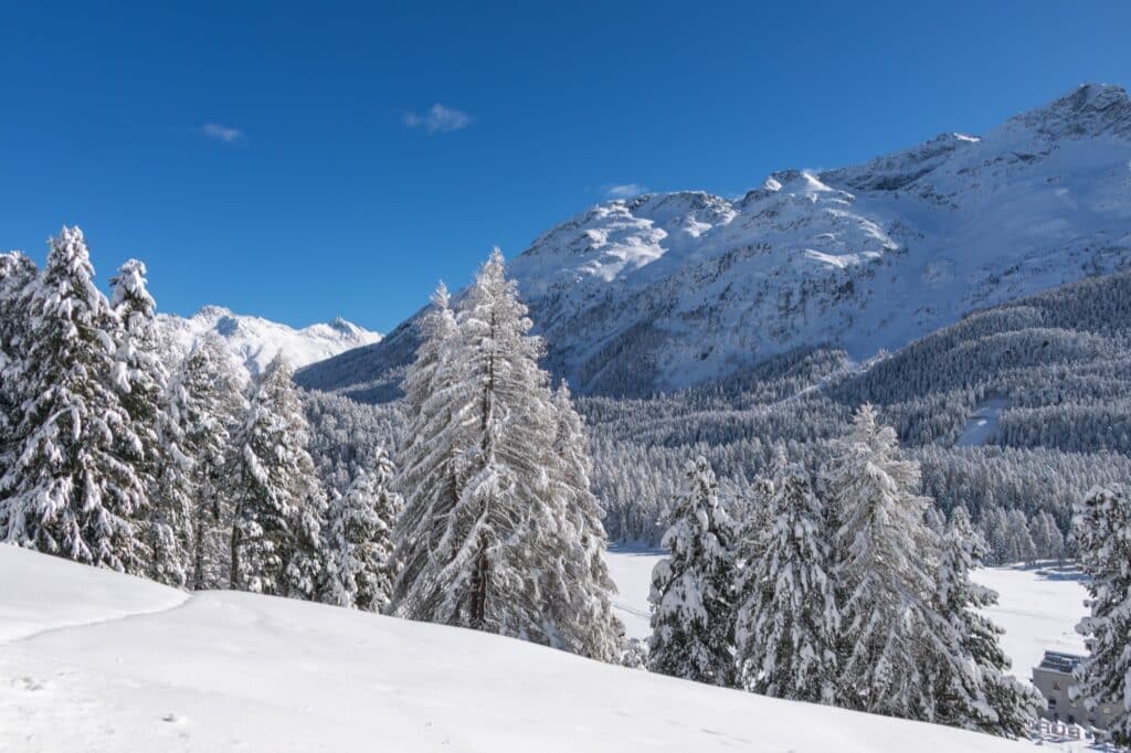 GM Surrounding Winter RGB Low MIPO 03