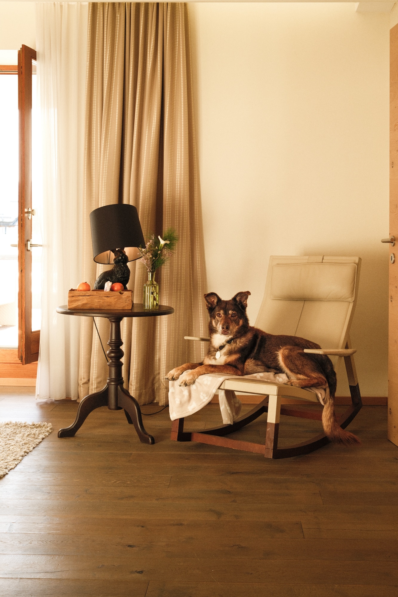 Extras & Specials 11 GM_Hund_RGB_Low_2026_JAK_01